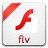 Dimo FLV Video Converter icon